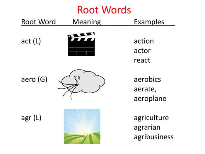 Root word duc duct choose board flashcards words vocabulary