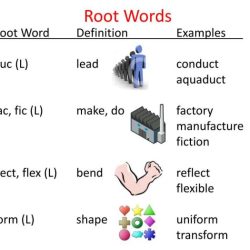 Duct root words duc examples lead ppt powerpoint presentation produce introduction meaning education guide