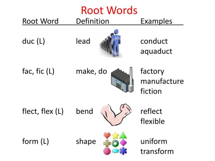 Duct root words duc examples lead ppt powerpoint presentation produce introduction meaning education guide