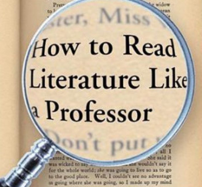 How to read like a professor chapters