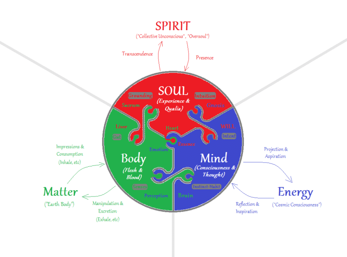 Developing your body mind and soul with rigorous training